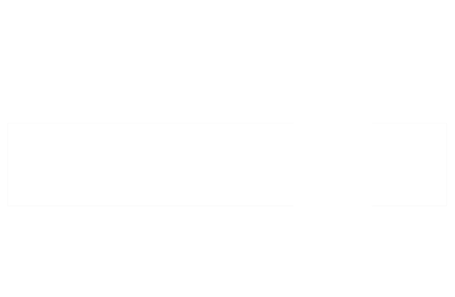 DJ Bizzon
